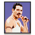 Load image into Gallery viewer, Freddie Mercury
