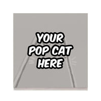 Your Pop Cat Here